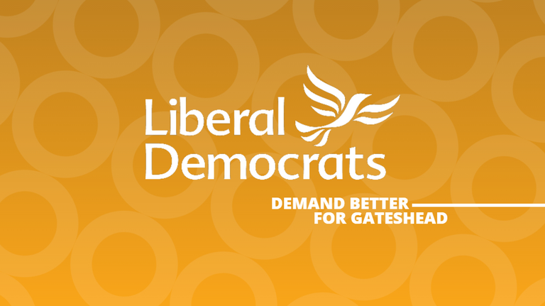 Lib Dem Banner 3